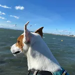 아파트 Port Camargue Vue *