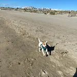 Port Camargue Vue * 르그로뒤후아