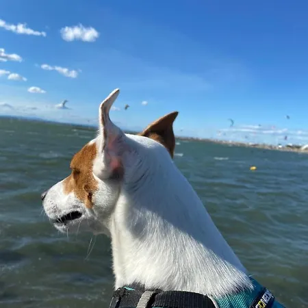 Διαμέρισμα Port Camargue Vue *