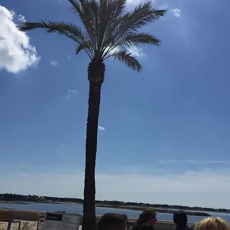 Port Camargue Vue