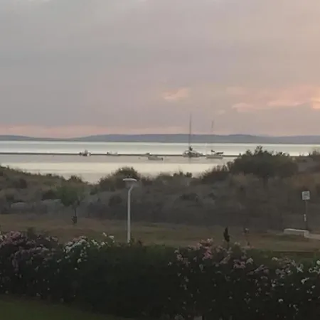 Port Camargue Vue